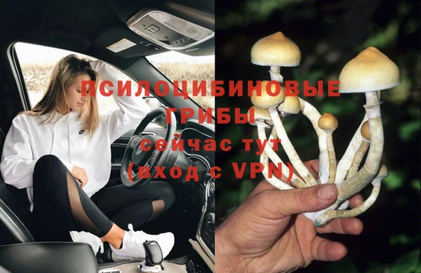 PSILOCYBIN Абдулино