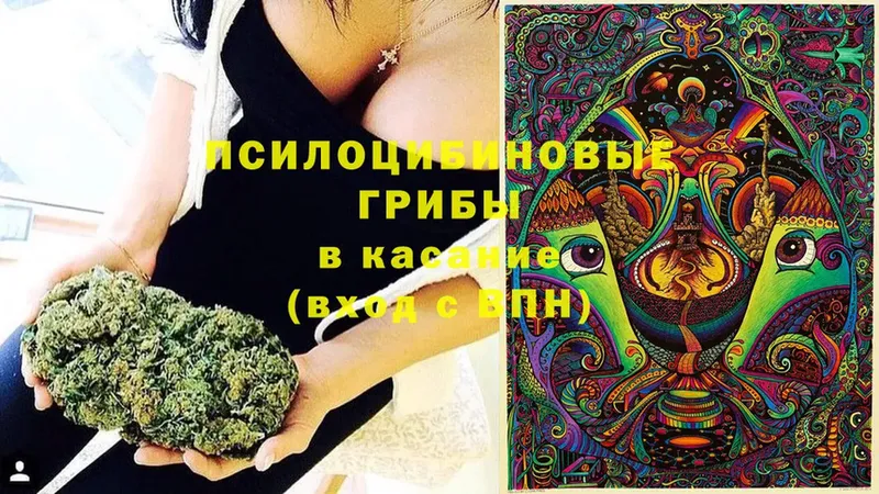 купить наркотики цена  МЕГА вход  Псилоцибиновые грибы GOLDEN TEACHER  Агидель 